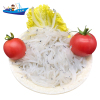 沈志雄船长 东山岛海鲜鲜活速冻小银鱼 白饭鱼无刺 海捕 250g/盒 共500g孩子辅食