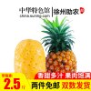 [中华特色]徐州助农馆[2件免邮]汇尔康(HR) 新鲜小菠萝带箱2.5斤装 云南香水菠萝手撕小菠萝凤梨整箱泰国 华东