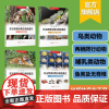 中国非法贸易动物鉴定丛书全4册 非法贸易动物及制品鉴定鸟类动物篇+两栖爬行动物篇+鱼类及无脊椎动物篇+哺乳动物篇