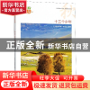 正版 十三个少年/我的青春我的梦全国中学生校园美文精品集萃丛书