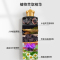 北京同仁堂植物一洗黑纯自己在家里染头发2023年流行色染发膏染发剂自然黑女男士国货染发泡泡