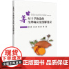 甘薯对干旱胁迫的生理响应及缓解效应 甘薯根系生长与形态 甘薯水分生理与节水栽培技术 产量与品质响应的生理机制 有机无机配