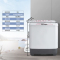 Midea/美的 8公斤半自动迷你波轮洗衣机家用双桶小型 净洗科技 品质电机 印花盖 旋钮作