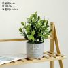 仿真绿植假花盆栽装饰小摆件创意室内客厅办公桌面花卉植物盆景