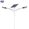 西瑞思 太阳能路灯头 庭院灯80W *2 XRS-SD08 个