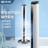 先锋(SINGFUN)塔扇电风扇家用智能遥控定时风扇无叶柔风落地扇 DTS-G11