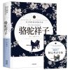 骆驼祥子和海底两万里原著骆驼的样子正版书 初中生七年级必读 [单本]骆驼祥子(送考点)