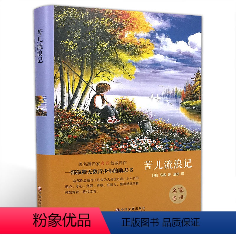 [正版]精装全译本必读苦儿流浪记马洛世界经典文学小说名著原著原版全中文完整版青少版 世界名著 带插图 书籍