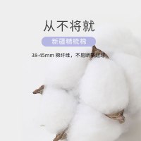 Bonnie&Toni女士螺纹中筒袜春秋全棉袜防臭吸汗长袜夏天商务袜子
