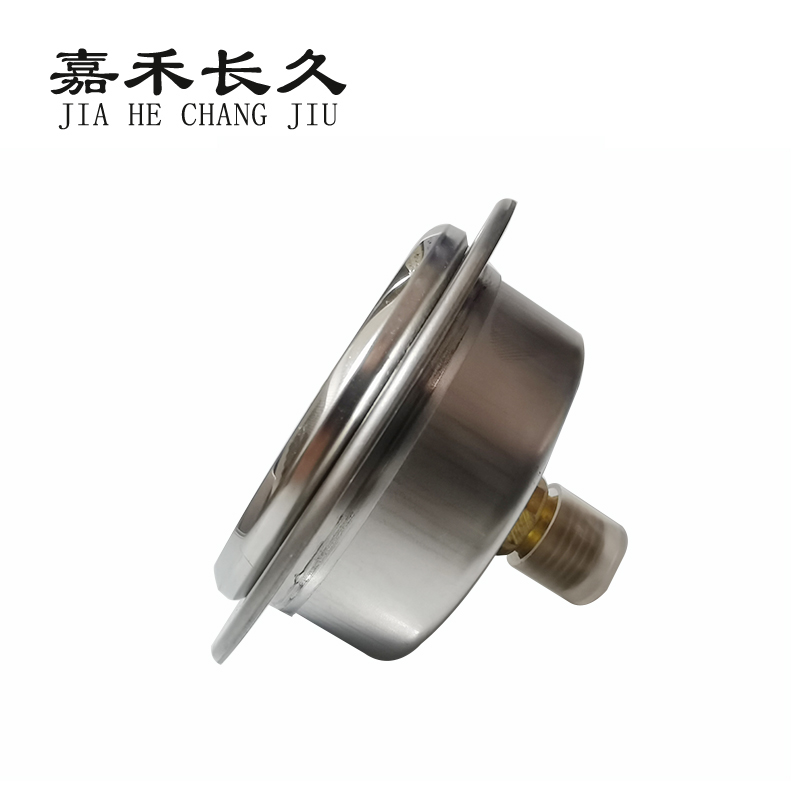 嘉禾长久/耐震压力表轴向带边/ YN60ZT/个高清大图
