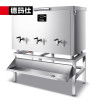 德玛仕(DEMASHI)SRZ-250卧式开水柜步进式大容量开水器 烧水机三龙头21KW(SRZ150系列工程款)