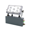 日昇之光(RECEN) RGXL213E-5*1W 5700K/220V 防护等级:IP65 LED应急顶灯