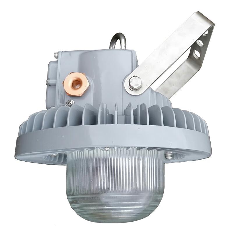 立华王(LihuaKing) LH8200-C 50W IP65 电压AC220V 光源色温5700K LED平台灯 (