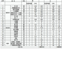斯派尼202105新款综合行政套装 套装女