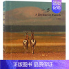 [正版]一世温暖老潘 旅游地图书籍