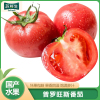 [苏鲜生]陕西普罗旺斯西红柿 净重2.8斤 小果 新鲜自然熟蔬菜草莓心水果当季沙瓤大番茄