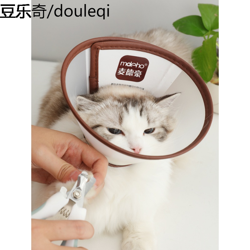 狗狗项圈猫咪伊丽莎白圈狗头套小型大型犬幼猫项圈小号脖圈专用品