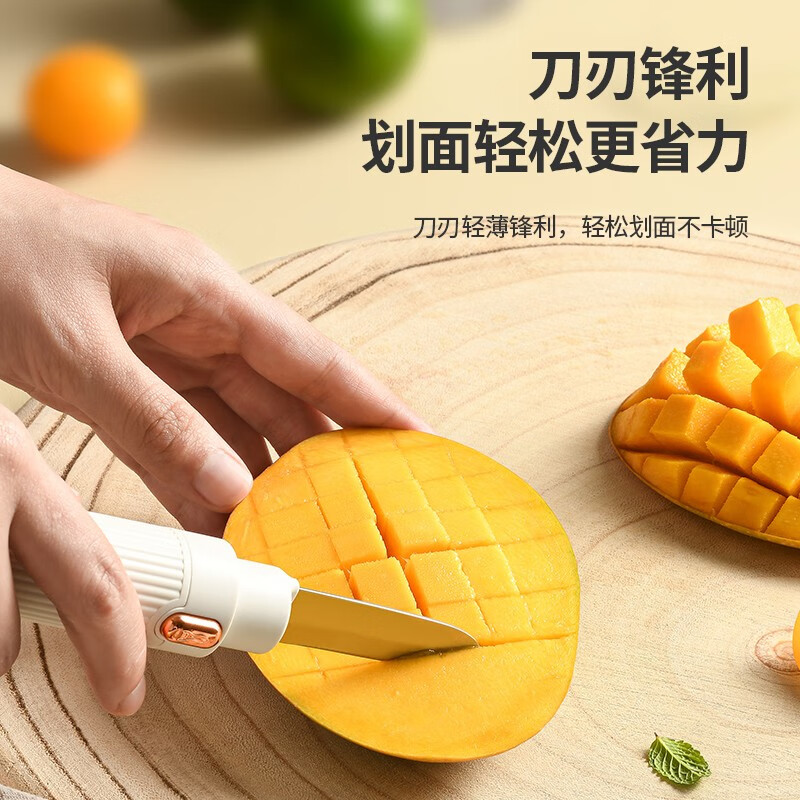 利仁(Liven)家用西瓜刀水果刀 瓜果刀 防锈西瓜哈密瓜刀具 料理多用刀便携户外 多功能水果刀高清大图