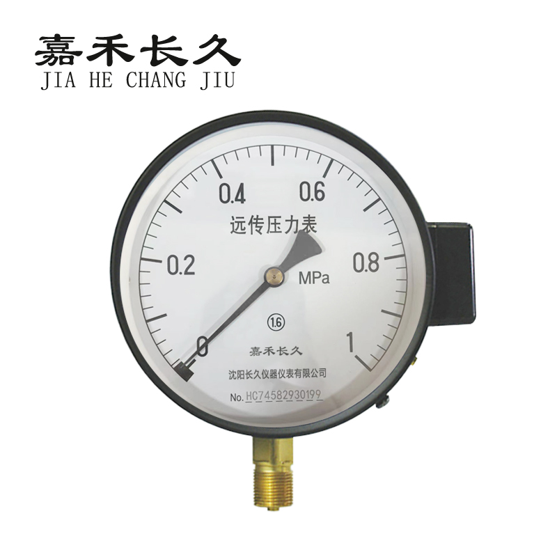 嘉禾长久+远传压力表检测定制型+YTZ150+块高清大图