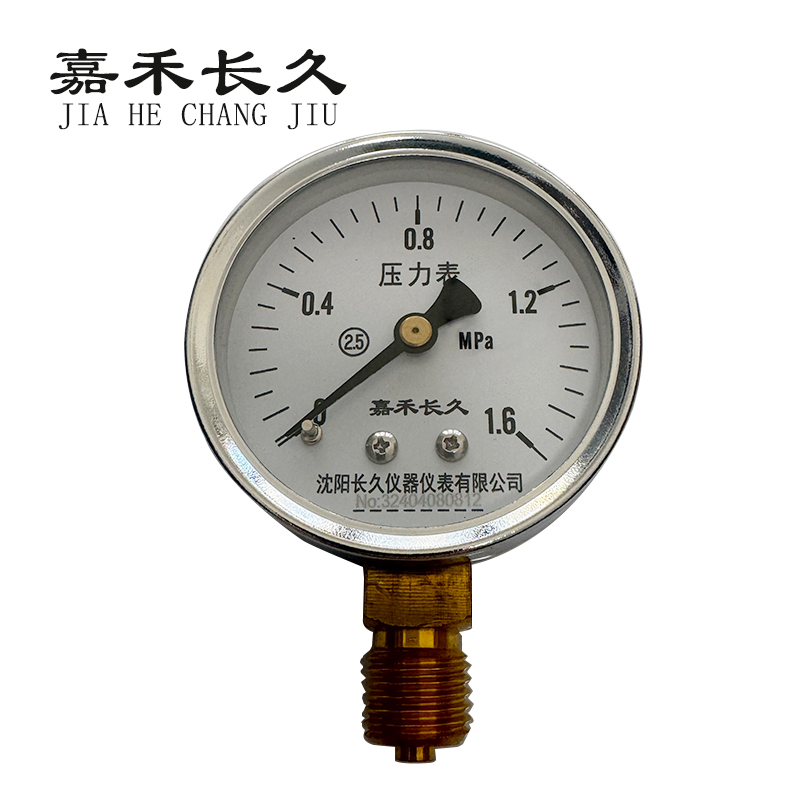 嘉禾长久/压力表/Y60 /个高清大图