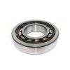 SKF 单列圆柱滚子轴承 NJ212ECJ 内径：60mm 外径：110mm 厚度：22mm（套）