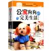 萌猫养护全程指导//宠物饲养手册新手养猫入门书籍猫咪养护百科 宠物书籍:公寓狗狗的完美生活