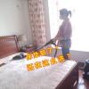 床垫清洗剂免洗去污家用干洗尿渍壁布免水洗的神器墙布专用清洁剂 500mL