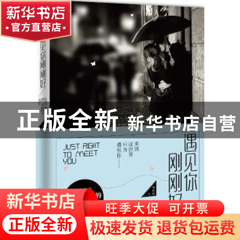 正版 遇见你 刚刚好 刘丽丽著 江苏凤凰文艺出版社 9787539980744