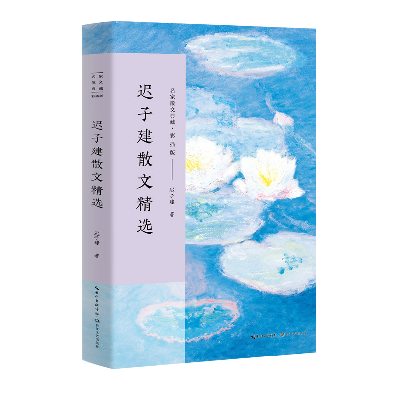 音像迟子建散文精选(彩插版)/名家散文典藏迟子建
