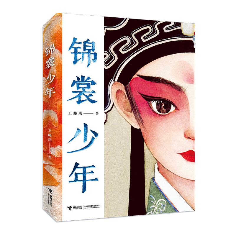 音像锦裳少年王璐琪 著