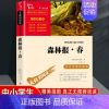 森林报春 [正版]森林报春夏秋冬全四册 比安基著科普百科读物四年级阅读课外书必读下册书目小学生课外阅读书籍三4五上故事书