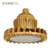 寻亮照明 工矿灯 防爆 NMGDK 300W 个