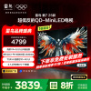 雷鸟 鹤7 25款65英寸 0.5%LR低反膜QD-MiniLED HVA屏 一级能效家电国家补贴65R695C