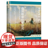 正版书 俄国粮食价格研究(18世纪至20世纪初)俄国史译丛 鲍·尼·米罗诺夫(Б.Н.Мирoнов) 著 社科文