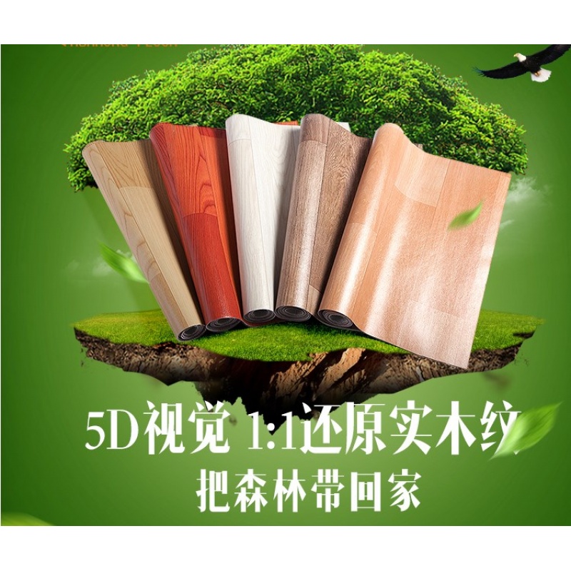 舞蹈地胶幼儿园室内地垫 舞蹈教室健身房专用地胶PVC塑胶运动地板壹德壹高清大图