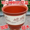 新款塑料花盆加厚仿陶瓷大号大号圆形室内绿植果树花盆