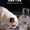 宠物双碗 玻璃碗 带存储瓶 水碗防溅 小壹els猫碗狗狗水碗饮水器 宠物双碗 玻璃碗 带存储瓶 水碗防溅 小壹els猫碗