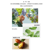 诗丹柔SETERRON 典藏香氛润肤精油皂-薄荷与乳木果128g