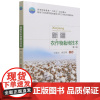 新疆农作物栽培技术 第3版 第三版 9787565525810 王海波 戴爱梅主编 高等职业教育 规划教材 中国农业大学