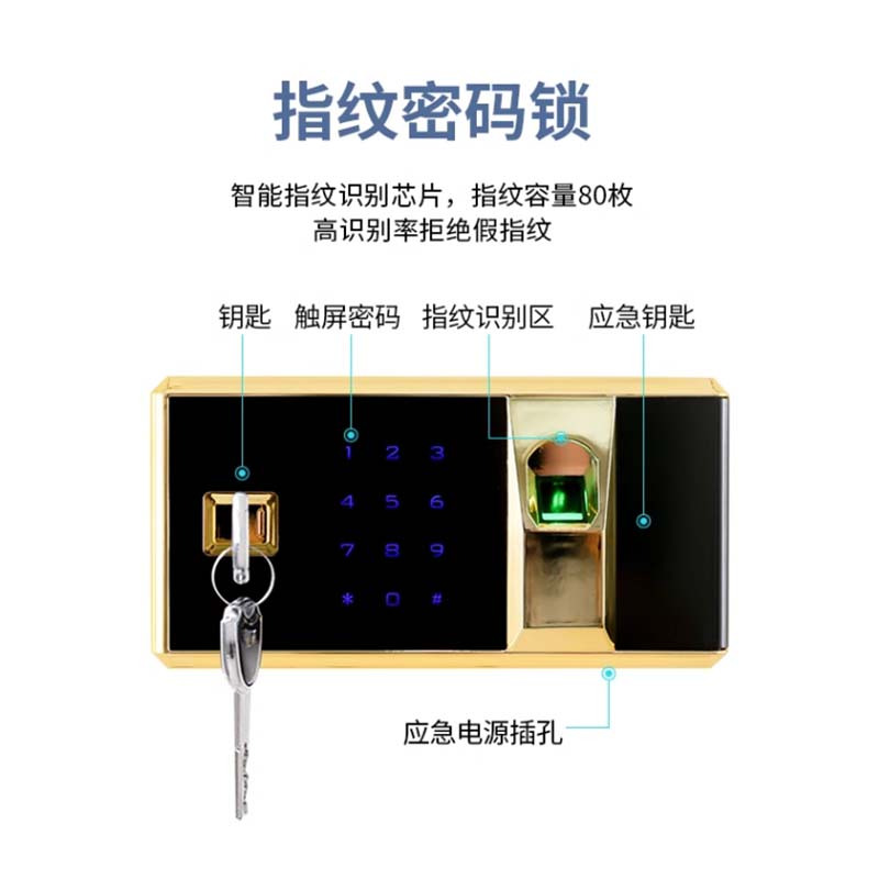 风雷动保密柜财务档案柜文件柜办公室资料储物柜保险柜电子密码国保锁矮柜红木纹-指纹密码锁