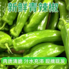 [西沛生鲜]陕西青椒 净重4.5斤 青辣椒辣椒新鲜现摘鲜辣椒薄皮青椒线椒虎皮椒中辣