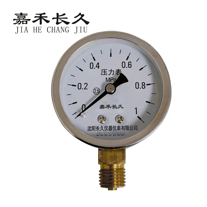 嘉禾长久/压力表/Y60 /个高清大图