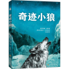 醉染图书奇迹小狼9787553524726