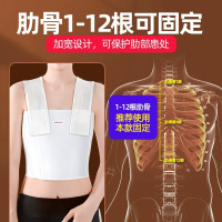 佳禾术后压力绷带医用胸部加压带肋骨骨折固定带医用弹力胸衣L码