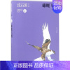 [正版]雄鹰飞翔 沈石溪 著 著作 儿童文学 少儿 明天出版社 图书