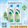 国货品牌丁家宜洁厕液500g*2瓶除菌去黄垢去味艾草芳香洁厕灵家用实惠装