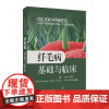 纤毛病:基础与临床 上海科学技术出版社9787547865941