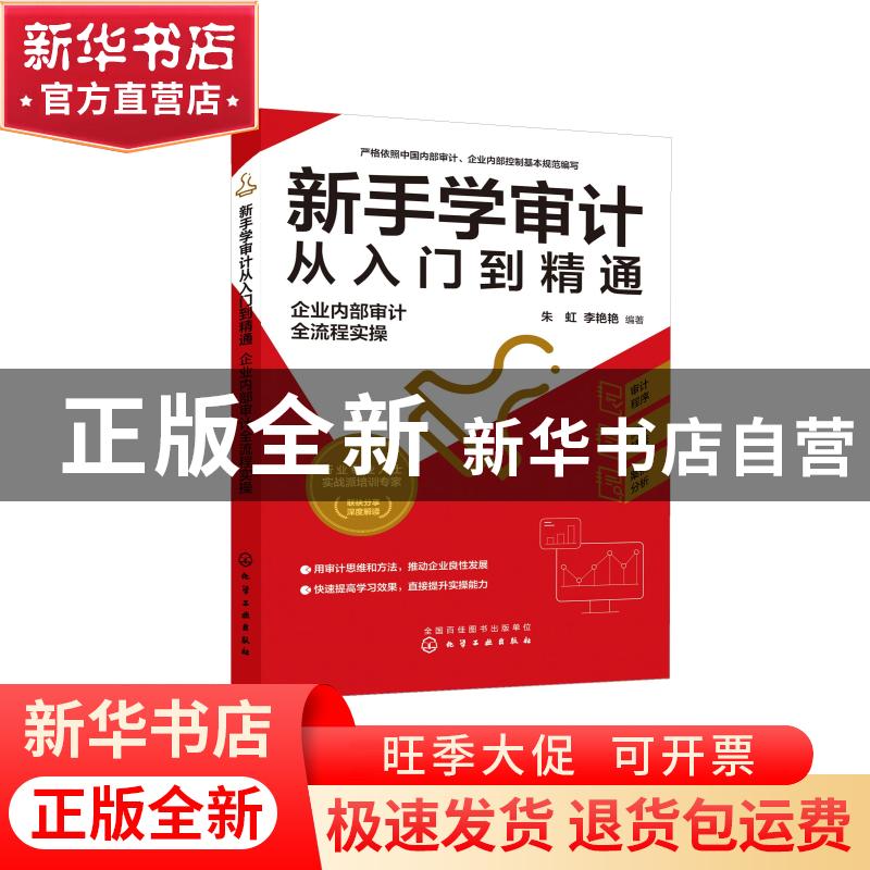 正版 新手学审计从入门到精通:企业内部审计全流程实操 朱虹,李