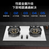 金龙灶具金龙燃气灶661B天燃气液化气器不锈钢大火力嵌入式台式