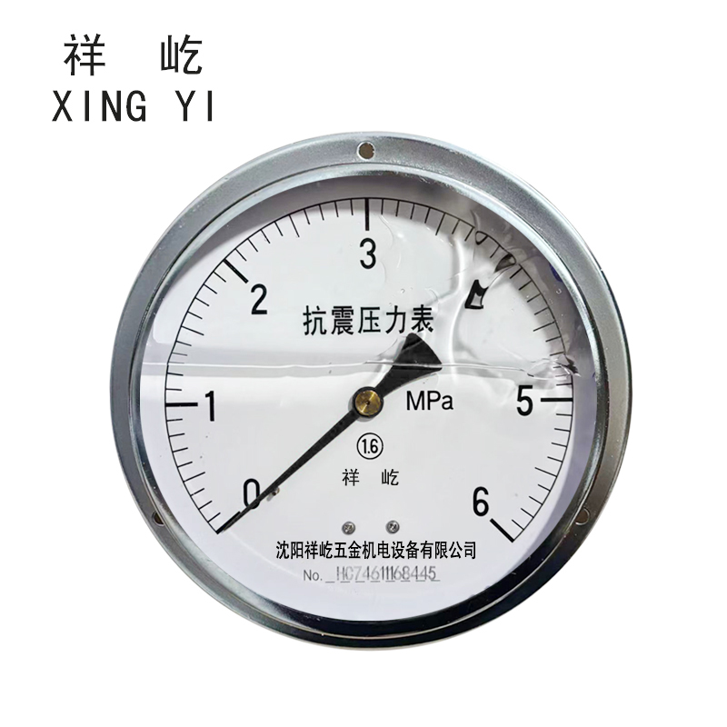 祥屹+耐震压力表轴向带边检测定制型+YTN150ZT+块 0-6Mpa